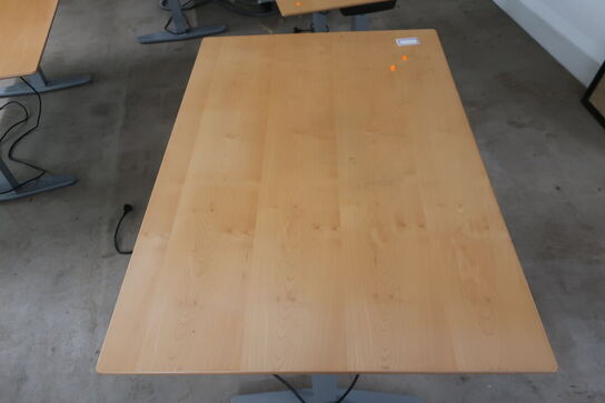 Elhæve/sænkebord 80x120 cm