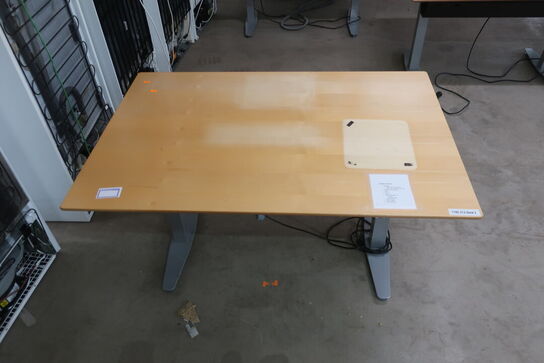 Elhæve/sænkebord 80x120 cm