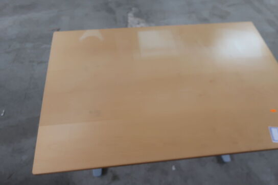 Elhæve/sænkebord 80x120 cm