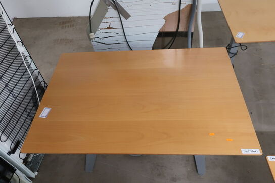 Elhæve/sænkebord 80x120 cm