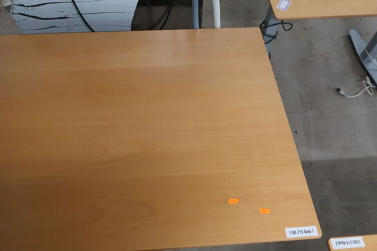 Elhæve/sænkebord 80x120 cm