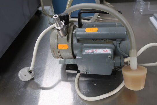 Pumpe LEYBOLD-HERAEUS MINNI A