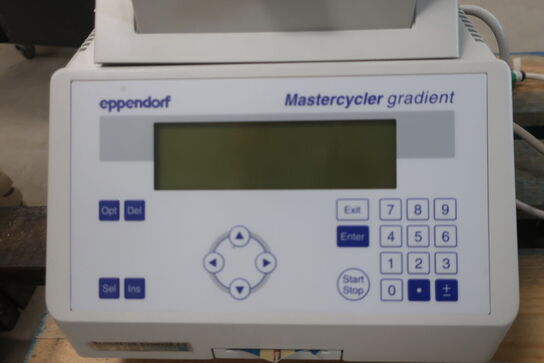 Thermocycler EPPENDORF Mastercycler Gradient