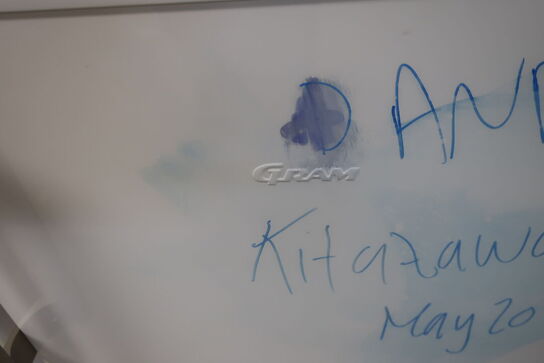 Fryseskab GRAM FS 3105-90