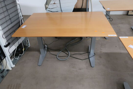 Elhæve/sænkebord 80x120 cm