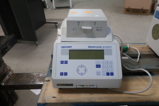 Thermocycler EPPENDORF Mastercycler Gradient