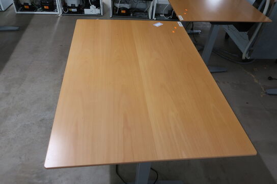 Elhæve/sænkebord 80x120 cm