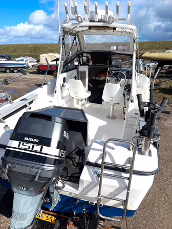 Bayliner Trophy 2002 WA med masser af udstyr (MOMSFRI)
