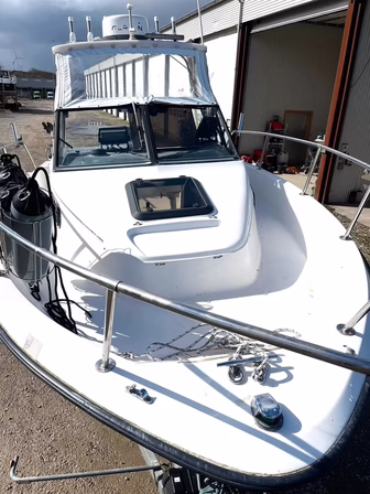 Bayliner Trophy 2002 WA med masser af udstyr (MOMSFRI)