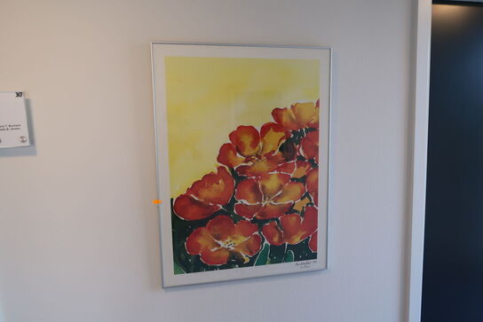 6 stk. plakater