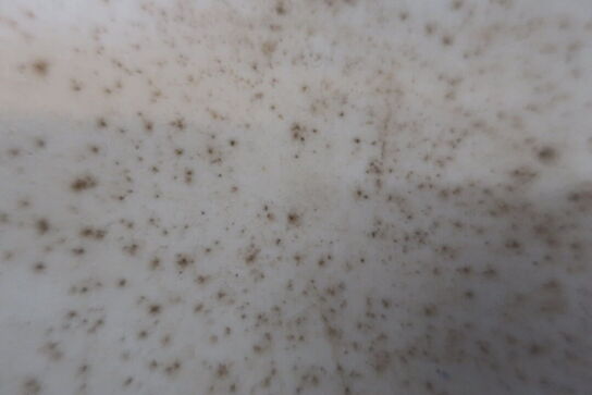 4 stk. Touch skærme, CRESTRON