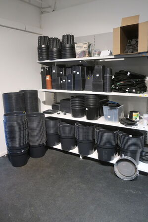 Div. Plante spande m.m.