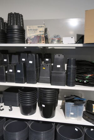 Div. Plante spande m.m.