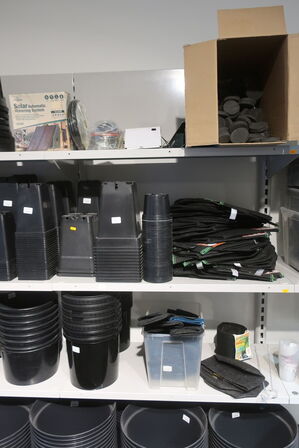 Div. Plante spande m.m.