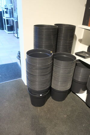 Div. Plante spande m.m.