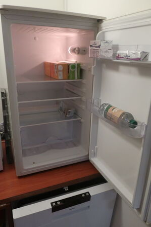 Køleskab, microovn og løse dele i skab 