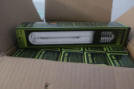 25 stk. pære HPS 250w