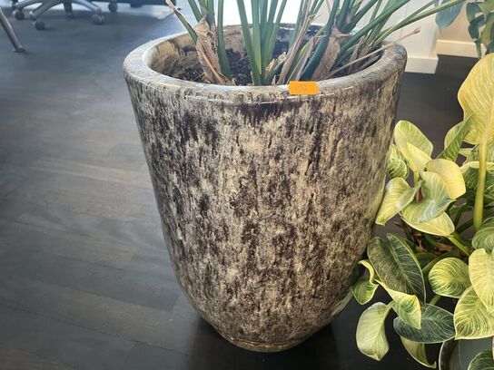 2. Stk. Grønne planter i krukker