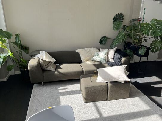 Sofa lounge m. rumopdeler m. Planter og tæppe