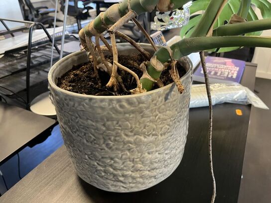 Rum opdeler m. Indhold bla. Plante 