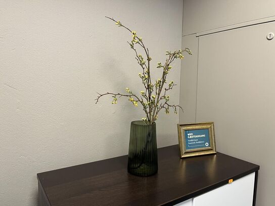 Arkiv Skabe m. Indhold