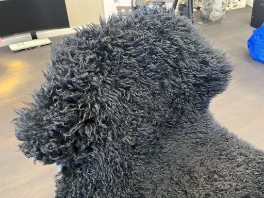 Cafe bord med 2. Stk. HAY stole og et skin