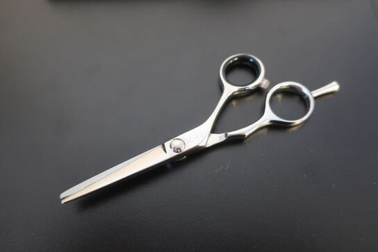 Frisørsaks PS-NIELSEN AC-12