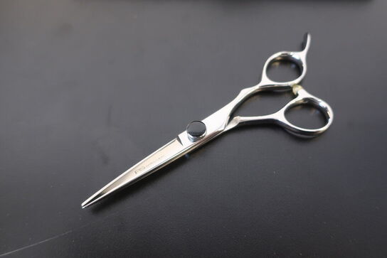 Frisørsaks PS-NIELSEN AC-4 5.5