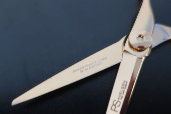 Frisørsaks PS-NIELSEN A-14G 5.5