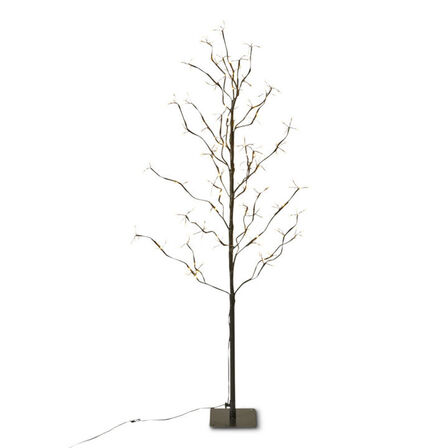 2 stk. Lystræ sort 120 cm