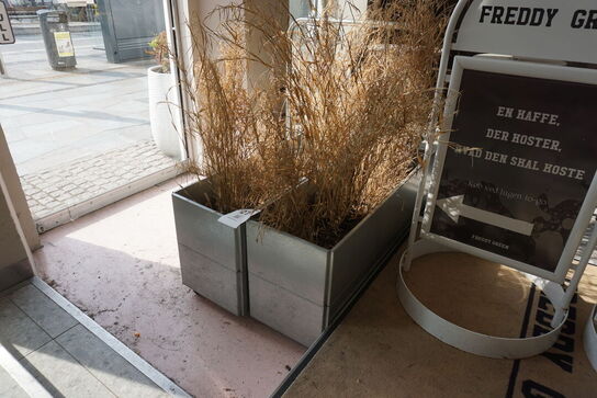 2 stk. plantekasser på hjul  