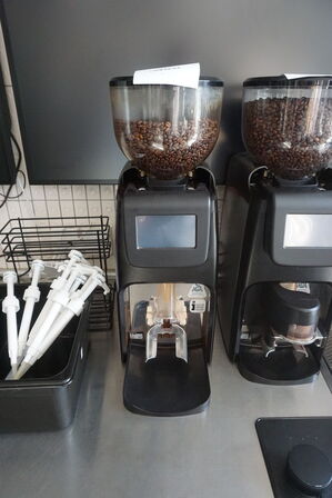 Kaffekværn FAEMA GROUNDBREAKER BDS