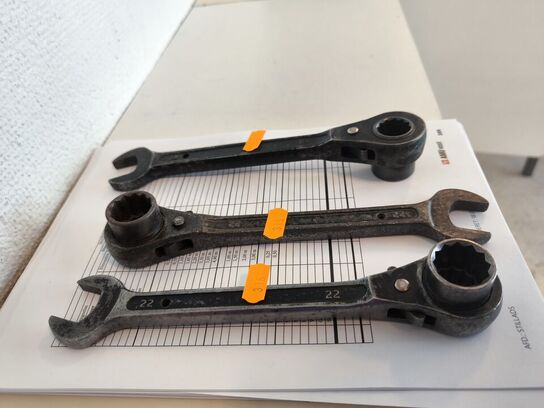 3 stk. 22 mm specialnøgler