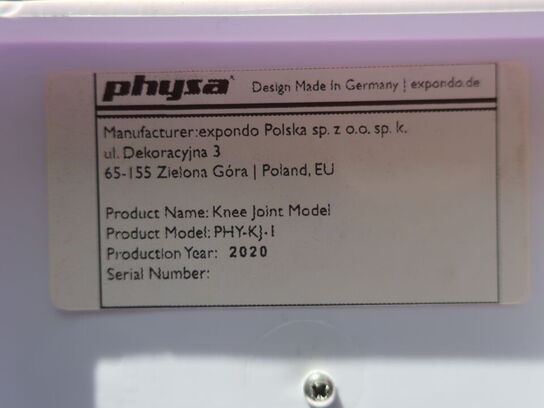 Undvisningsknogler PHYSA (rygsøjle, skulder & knæ)