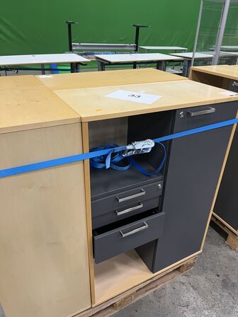 3 skabssektioner, Holmris