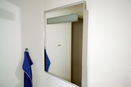 Spejlskab m/hylde og lys 50x70cm spejl