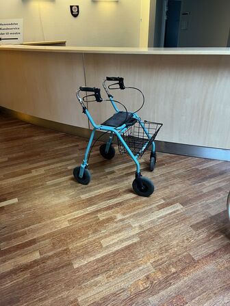 Rollator DOLOMITE OPAL: 2000 12018-13