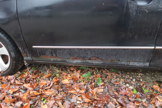 Personbil VW Passat 1,9 TDI (momsfri)