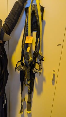 Harness