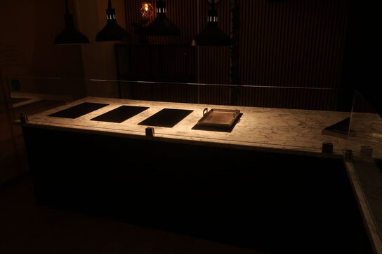 Disk med induktionskogeplader og kølebrønd