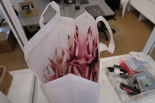 Reolsystem med indhold