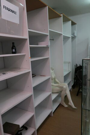 Mannequin, pude, glasudstilling m.m.