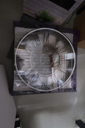 Vægur TECHNOLINE WT 1585