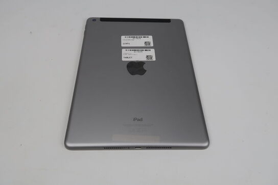 Apple iPad 6th Gen Wi-Fi+Cellular 128 GB