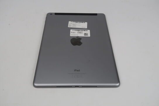 Apple iPad 6th Gen Wi-Fi+Cellular 32 GB