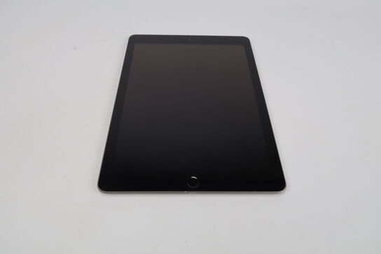 Apple iPad 6th Gen Wi-Fi+Cellular 32 GB