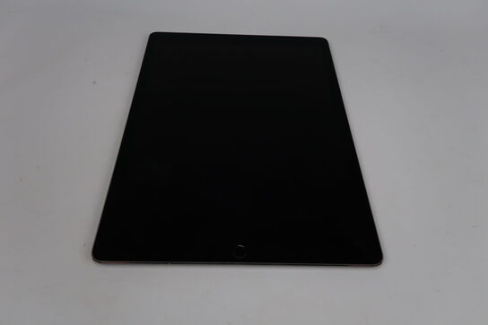 Apple iPad Pro 12.9" 2. Gen Wi-Fi+Cellular 256 GB