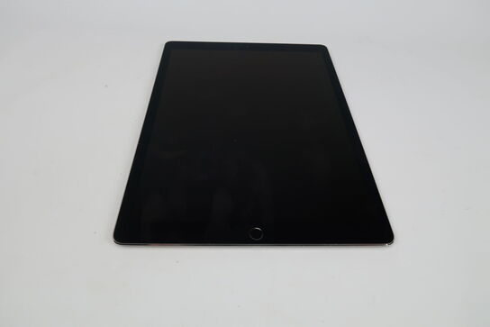 Apple iPad Pro 12.9" 2. Gen Wi-Fi+Cellular 256 GB