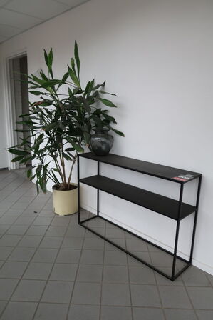 Reol, vase og plante 