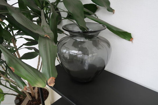 Reol, vase og plante 